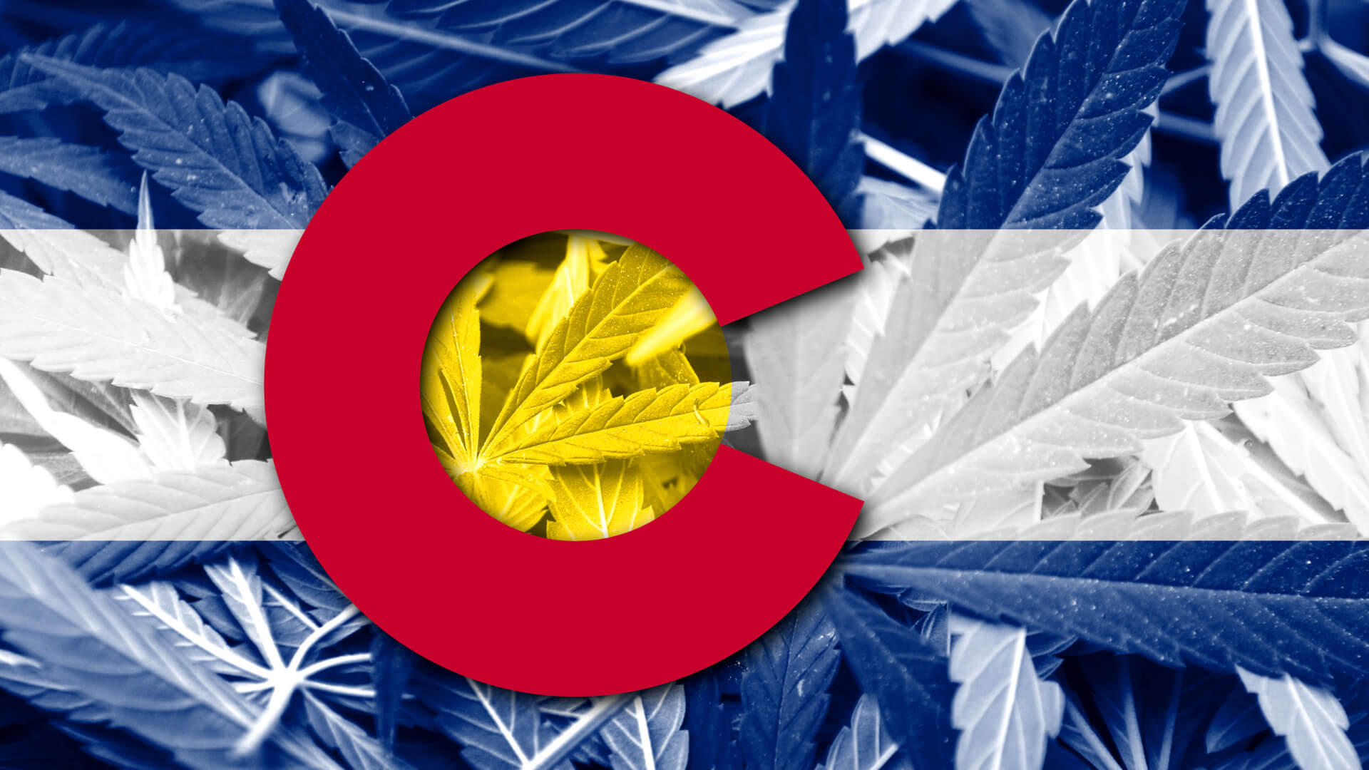 Understanding And Navigating Drug Testing In Colorado